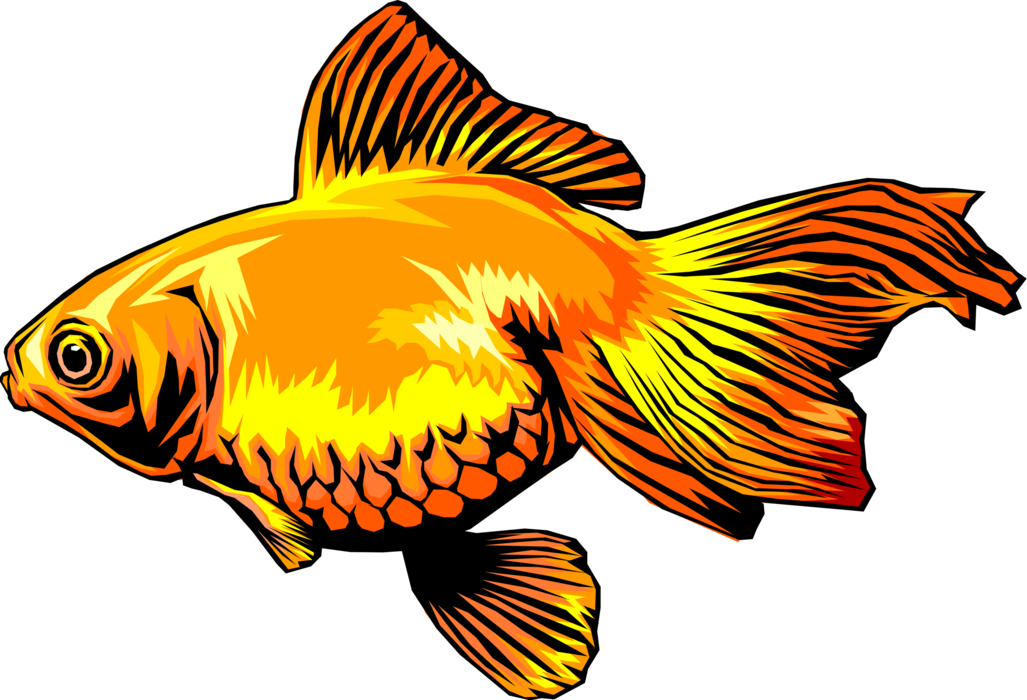Vector Illustration of Aquarium Tropical Goldfish Fish 