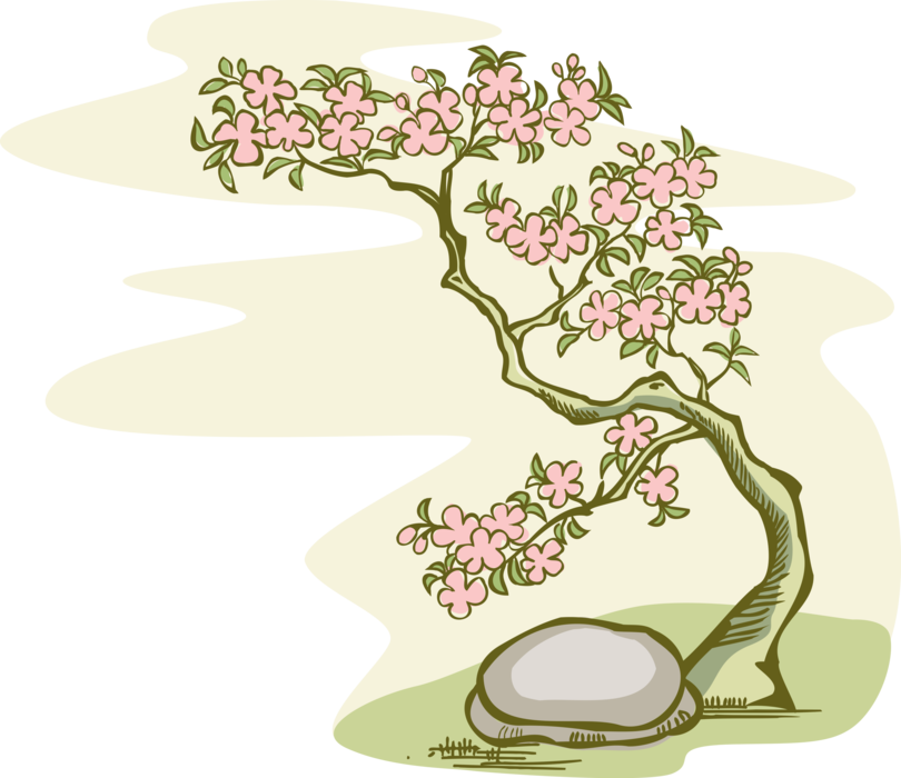 Vector Illustration of Flowering Tree with Cherry Blossoms and Stone