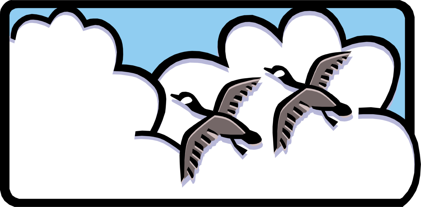 Vector Illustration of Flying Canada Geese with Clouds