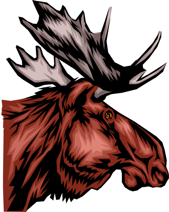 Vector Illustration of Large, Long-Headed Mammal Canadian Moose Head with Antlers