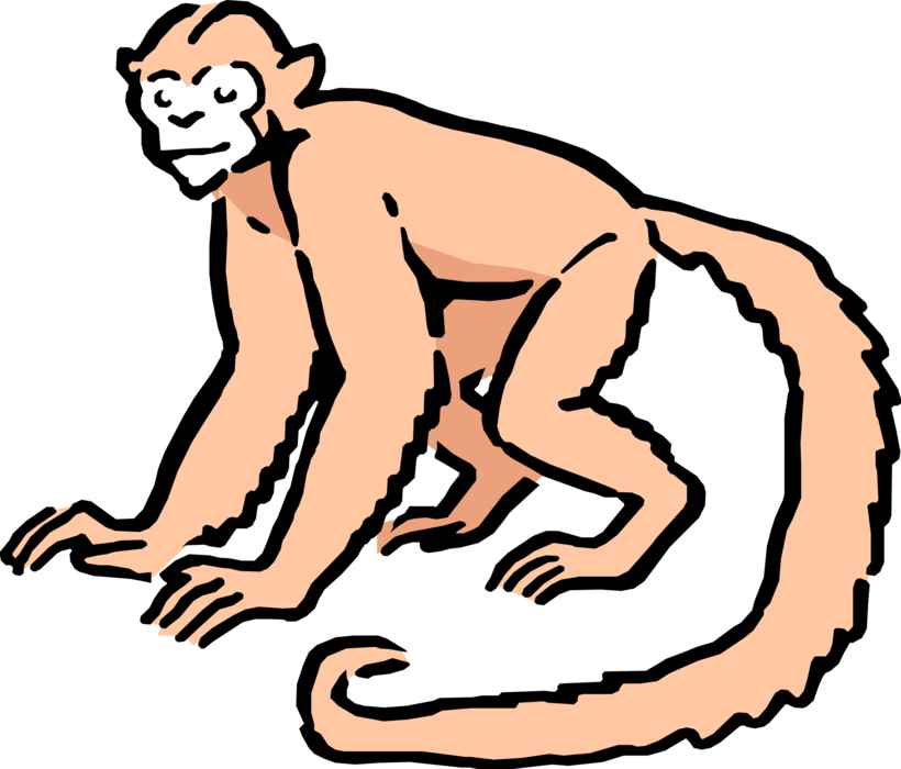 Vector Illustration of Cartoon Monkey on All Fours