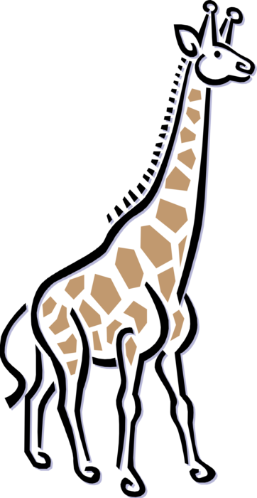 Vector Illustration of African Giraffe