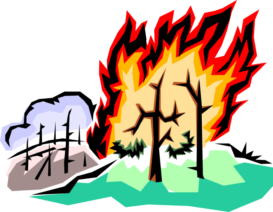 Vector Illustration of Raging Forest Fire Creates Ecological Disaster