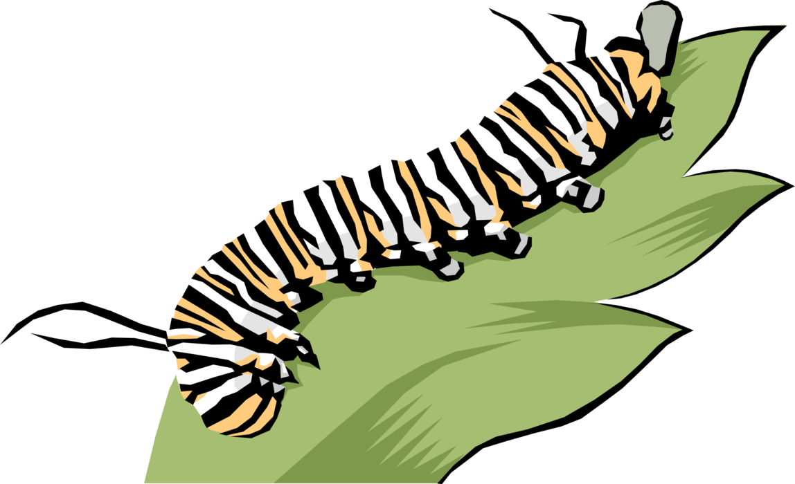 Vector Illustration of Striped Caterpillar Insect Crawling on Leaf
