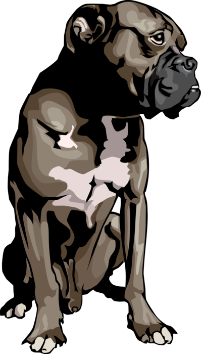 Vector Illustration of Bulldog Dog Turns Its Head