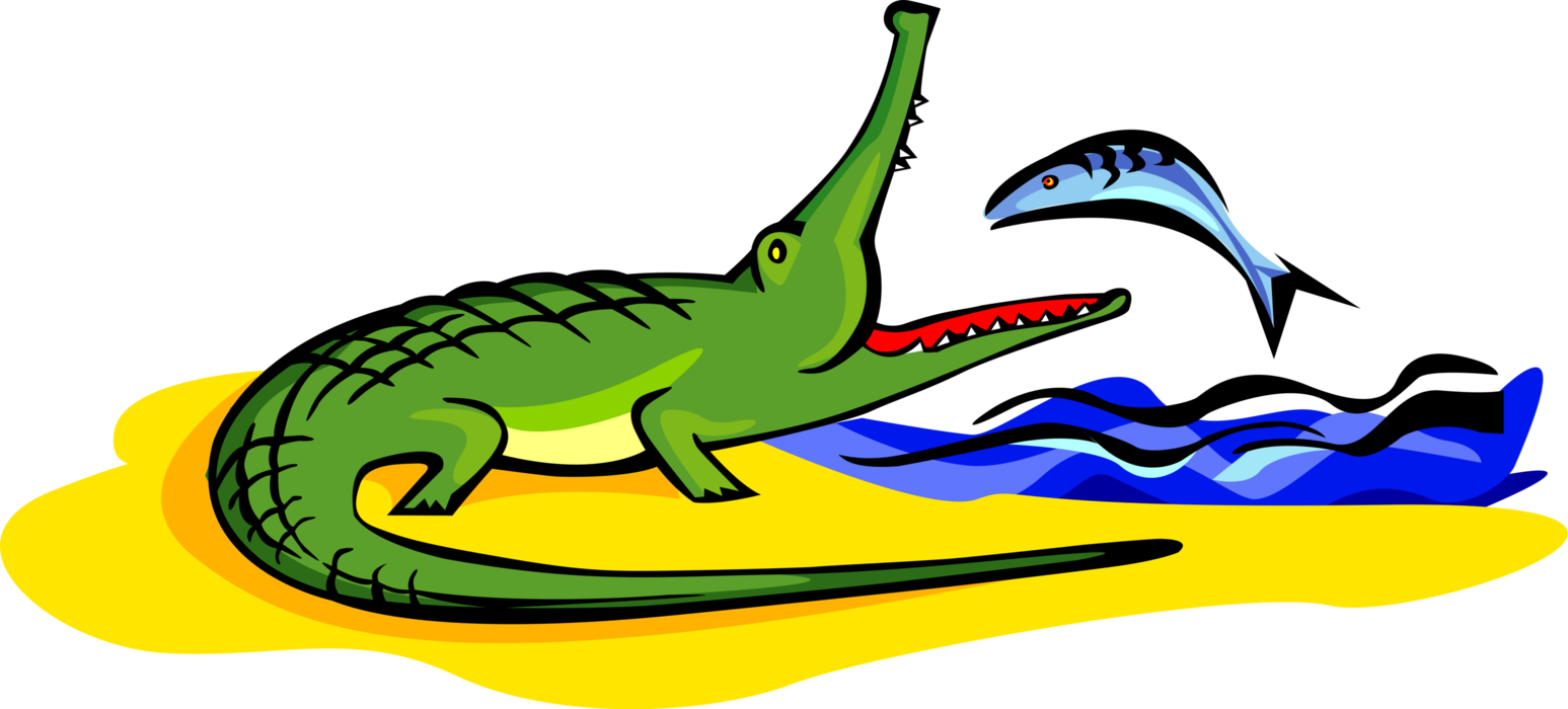 Vector Illustration of Crocodile Reptile Eating Fish