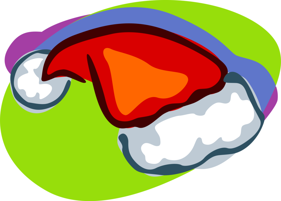 Vector Illustration of Santa's Hat at Christmas