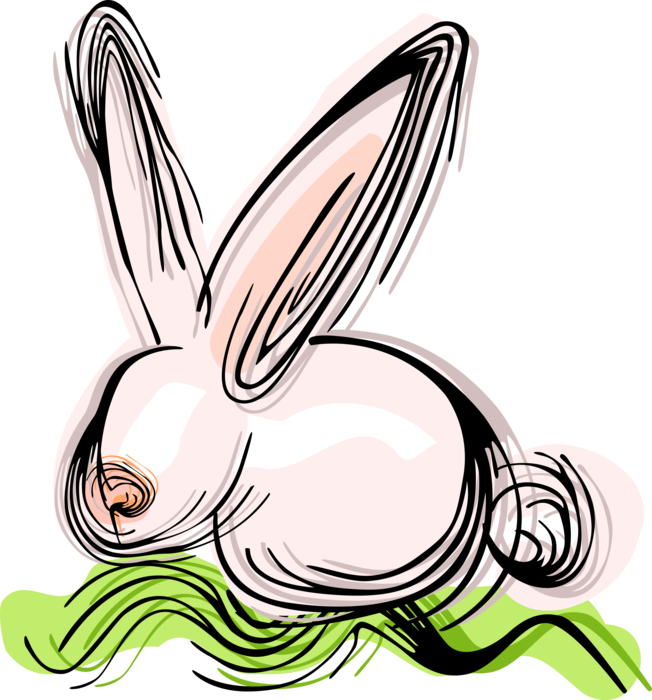 Vector Illustration of White Small Mammal Rabbit Bunny