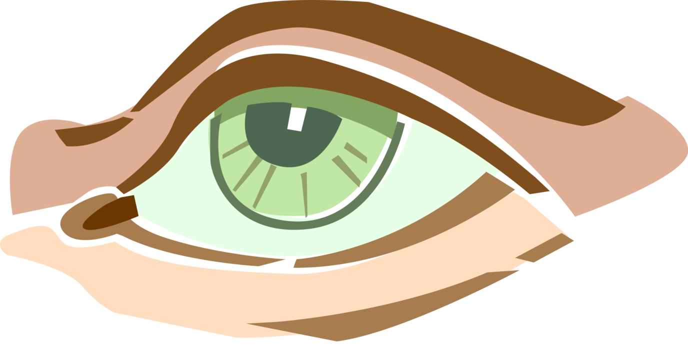 Vector Illustration of Human Eye with Pupil