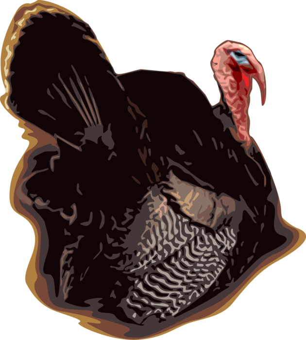 Vector Illustration of Domestic or Wild Turkey Christmas and Thanksgiving Traditional Dinner Animal