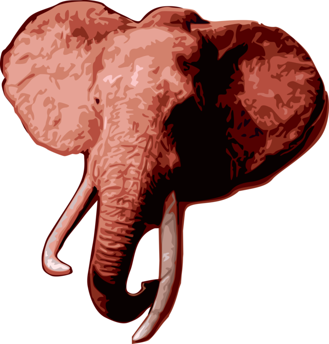 Vector Illustration of African Elephant Head with Tusks and Trunk