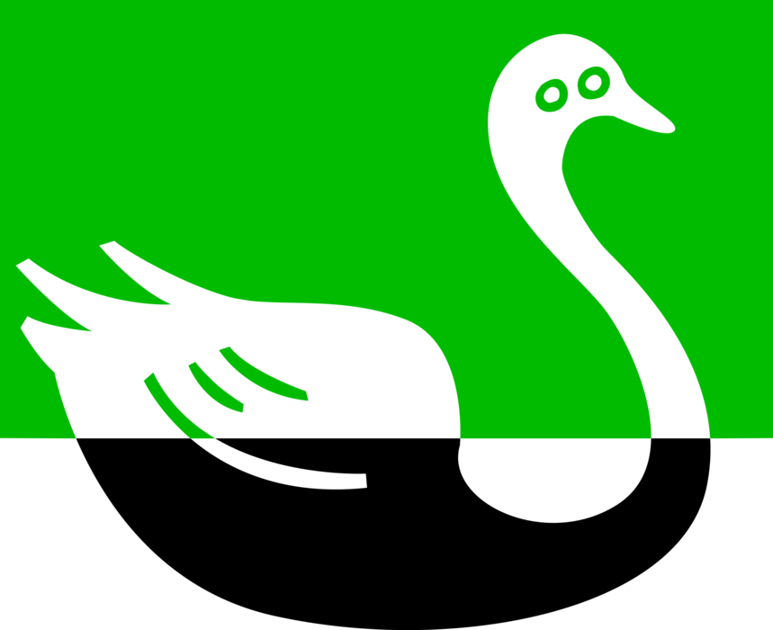 Vector Illustration of Mute Swan Bird Swimming