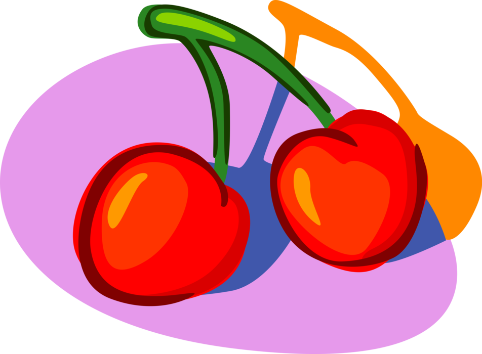 Vector Illustration of Sweet Cherry Fruit