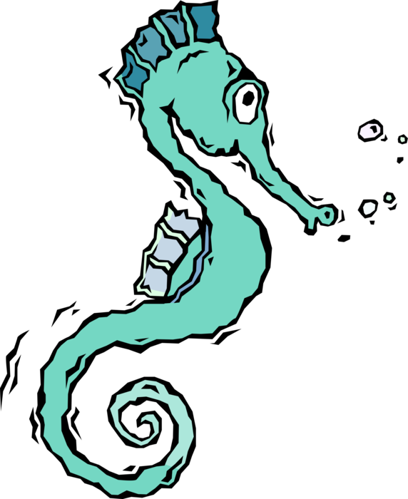 Vector Illustration of Hippocampus Genus Seahorse