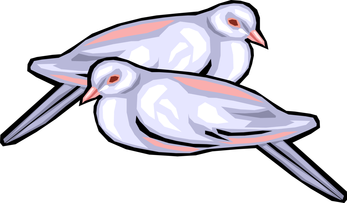 Vector Illustration of Love Bird Doves Feathered Birds