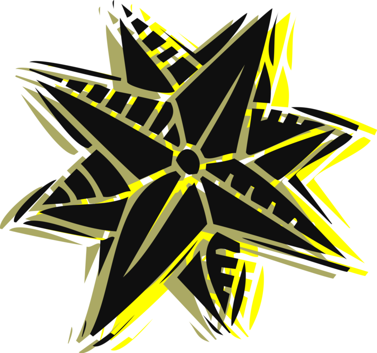 Vector Illustration of Star Celestial BodySymbol