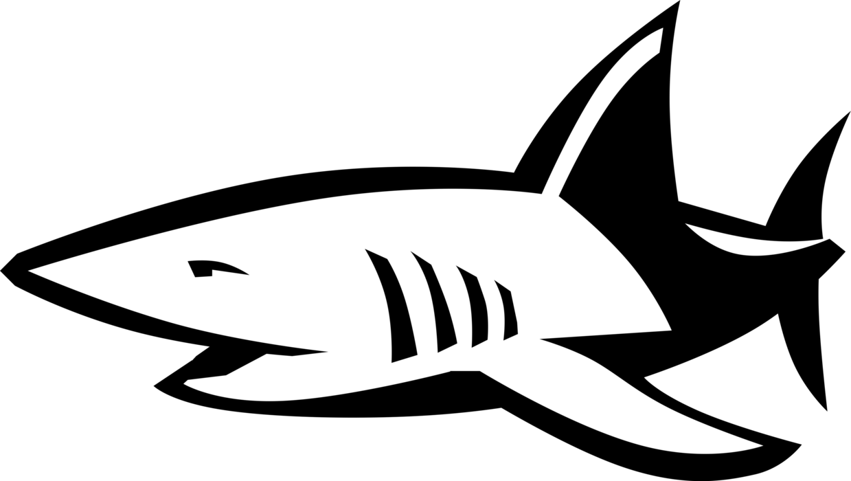 Vector Illustration of Marine Predator Shark