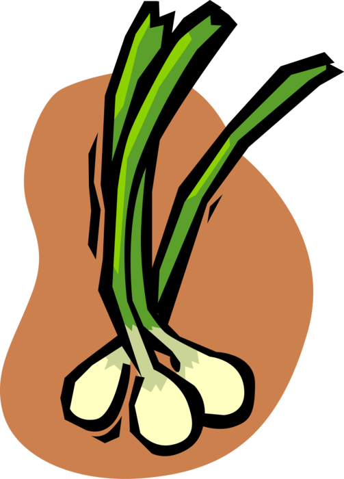 Vector Illustration of Green Scallion Onion Vegetable Shallots 