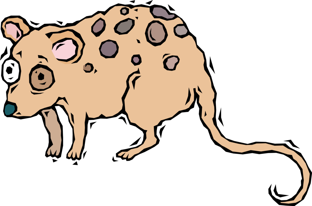 Vector Illustration of Starry-Eyed Opossum