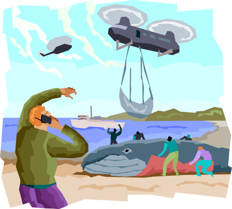 Vector Illustration of Marine Biologists Rescuing Beached Whale with Helicopter