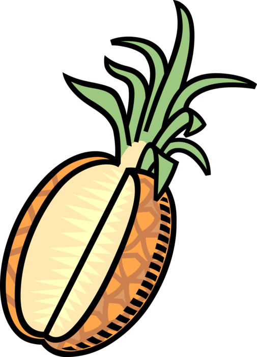 Vector Illustration of Tropical Plant Pineapple Fruit Food