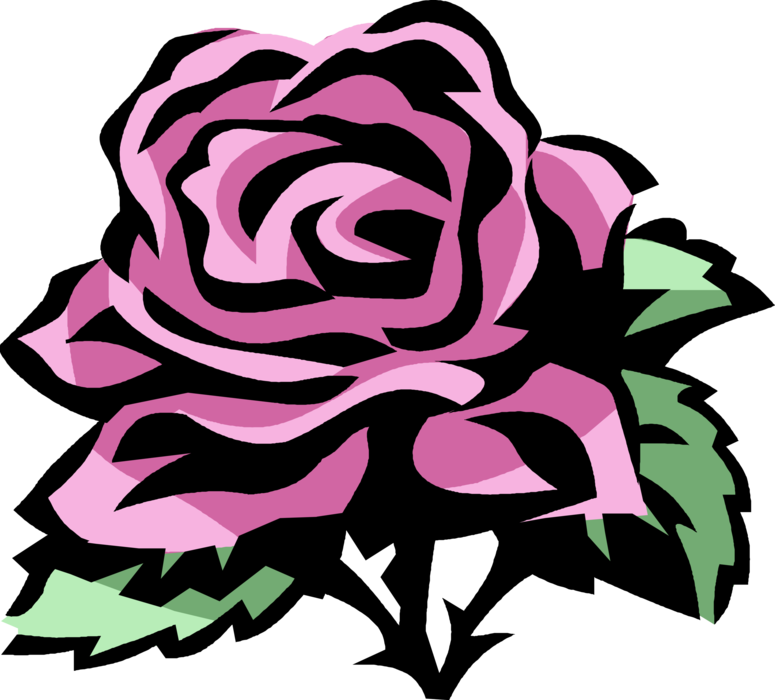 Vector Illustration of Rose Garden Flower Perennial Plant Blossom