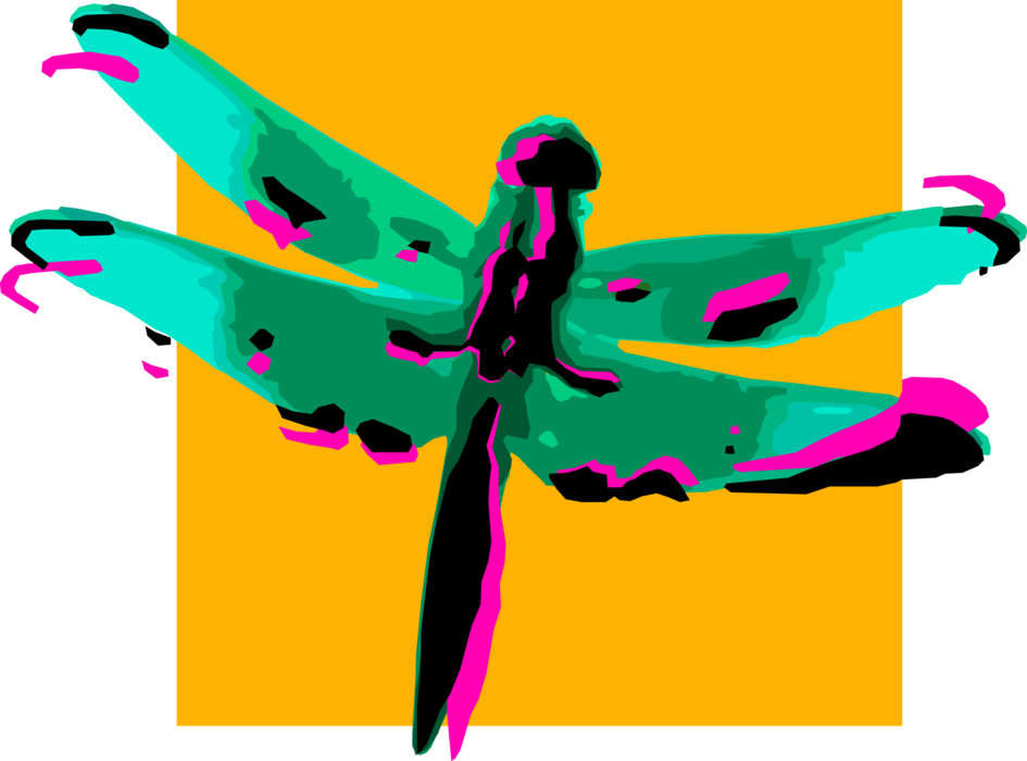 Vector Illustration of Dragonfly Insect Bug