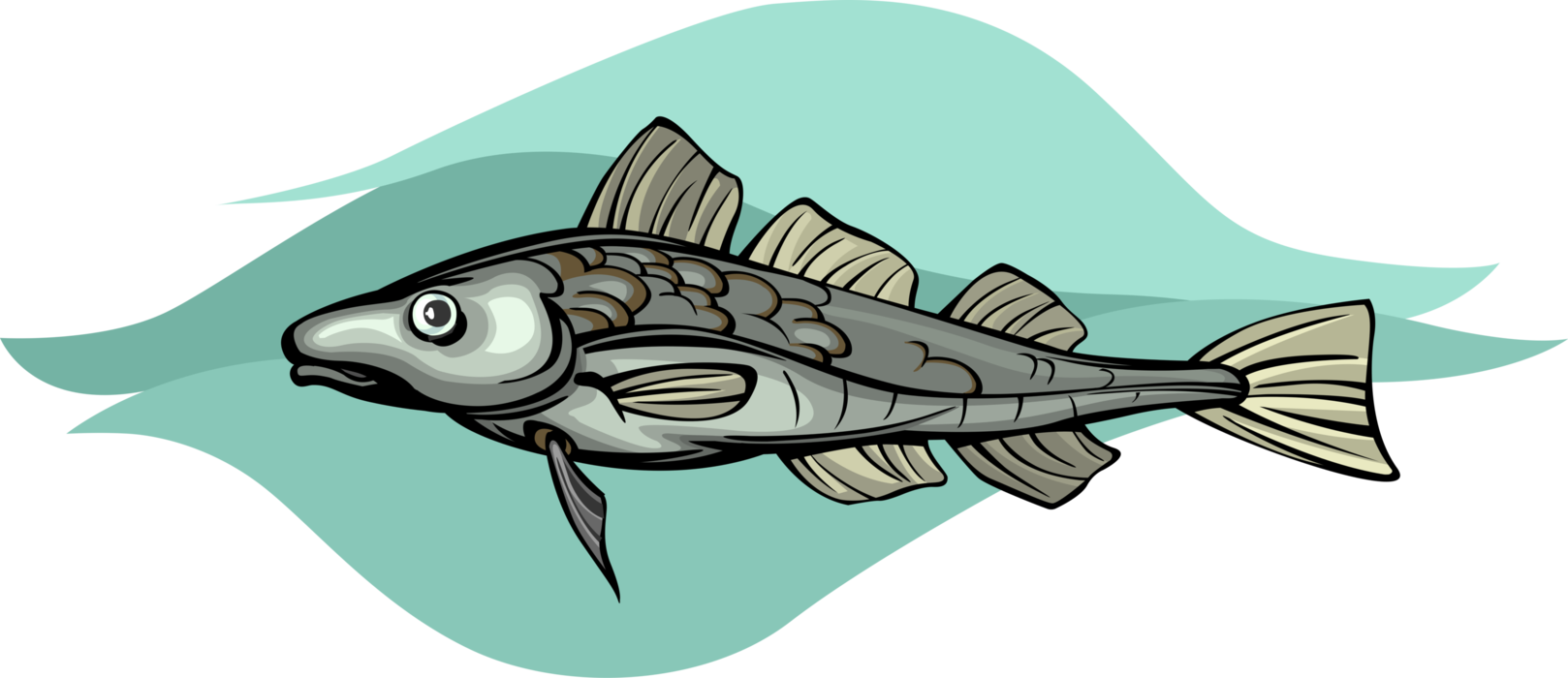 Vector Illustration of Cod Demersal Marine Fish