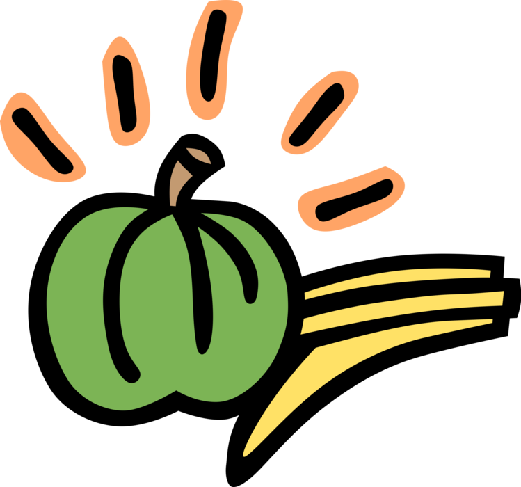 Vector Illustration of Fall Harvest Pumpkin and Squash