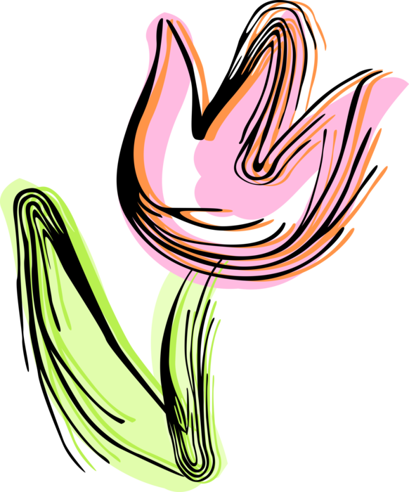 Vector Illustration of Red Tulip Flower Stem