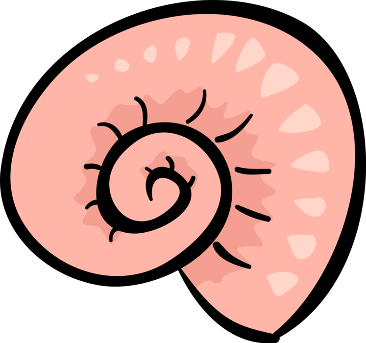 Vector Illustration of Snail or Terrestrial Gastropod Mollusks Seashell