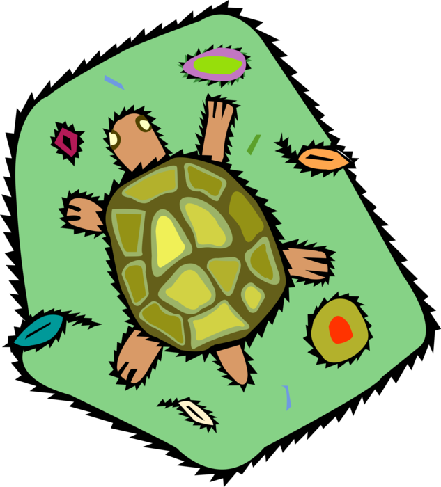 Vector Illustration of Slow-Moving Terrestrial Reptile Tortoise or Turtle