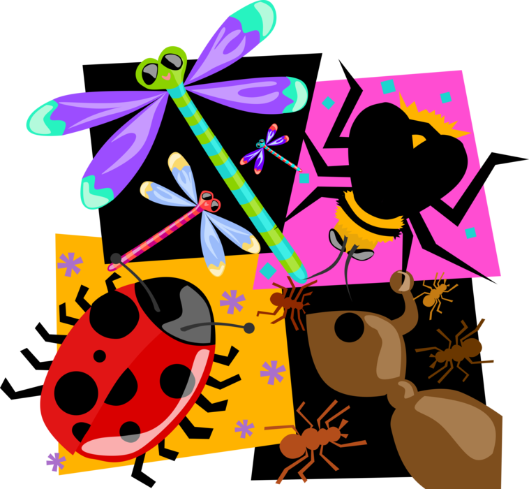 Vector Illustration of Insect Ladybug, Ant, Bee and Dragonfly Bugs