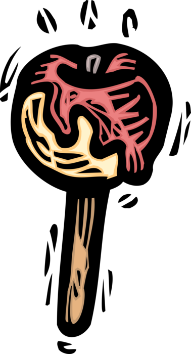 Vector Illustration of Candy Apple or Toffee Apple Covered in Sugar Candy Coating with Stick Handle