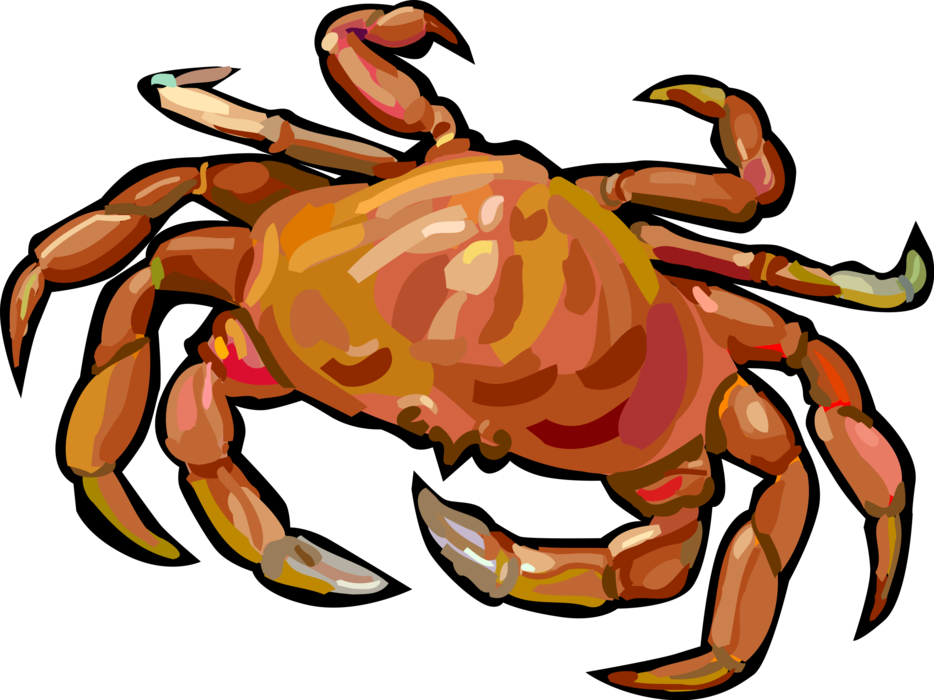 Vector Illustration of Decapod Marine Crustacean Crab with Claws