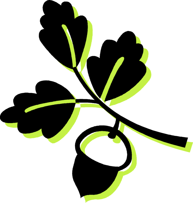 Vector Illustration of Oak Acorn Single Nut Seed and Leaves