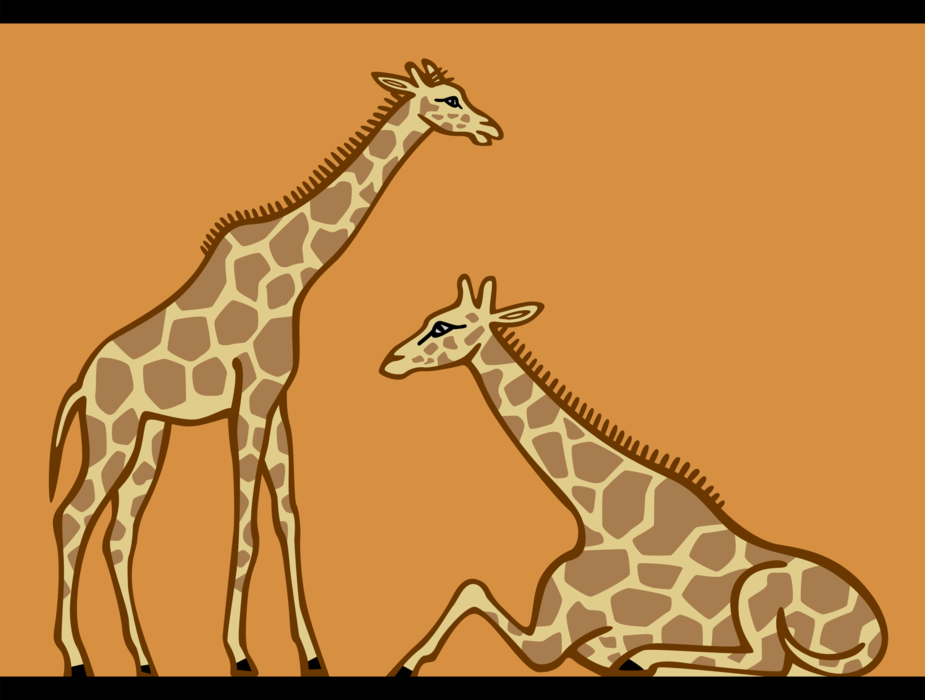 Vector Illustration of African Giraffes