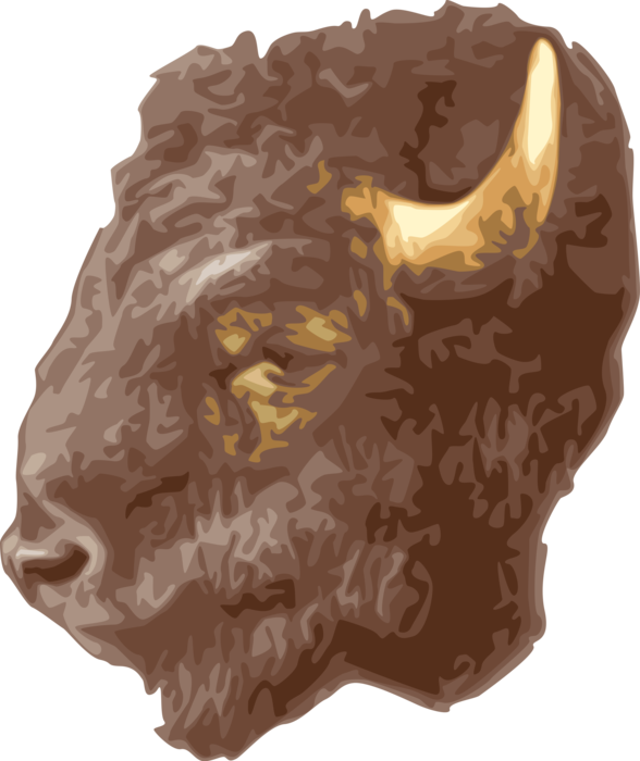 Vector Illustration of North American Wood Bison Buffalo Head