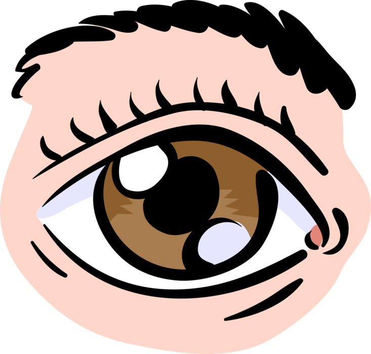 Vector Illustration of Human Eye Provides Sight
