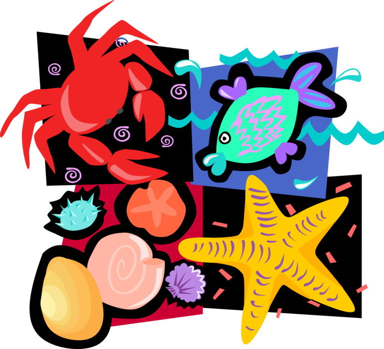 Vector Illustration of Sea Life Star Fish, Decapod Crustacean Crab, Fish, Seashells