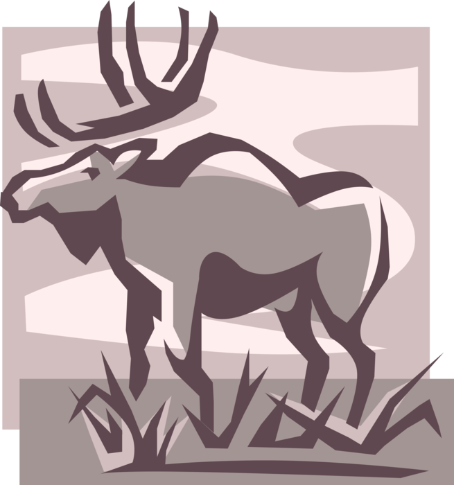 Vector Illustration of Large, Long-Headed Mammal Canadian Moose