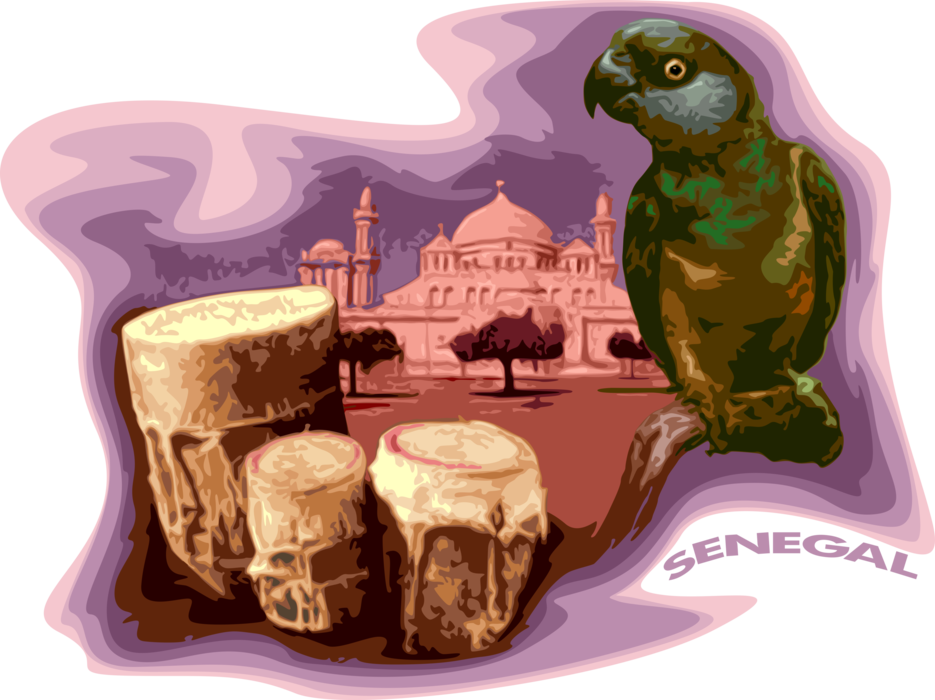 Vector Illustration of Senegal Islamic Djourbel Mosque with Senegal Parrot and Djembe Skin-Covered Drum