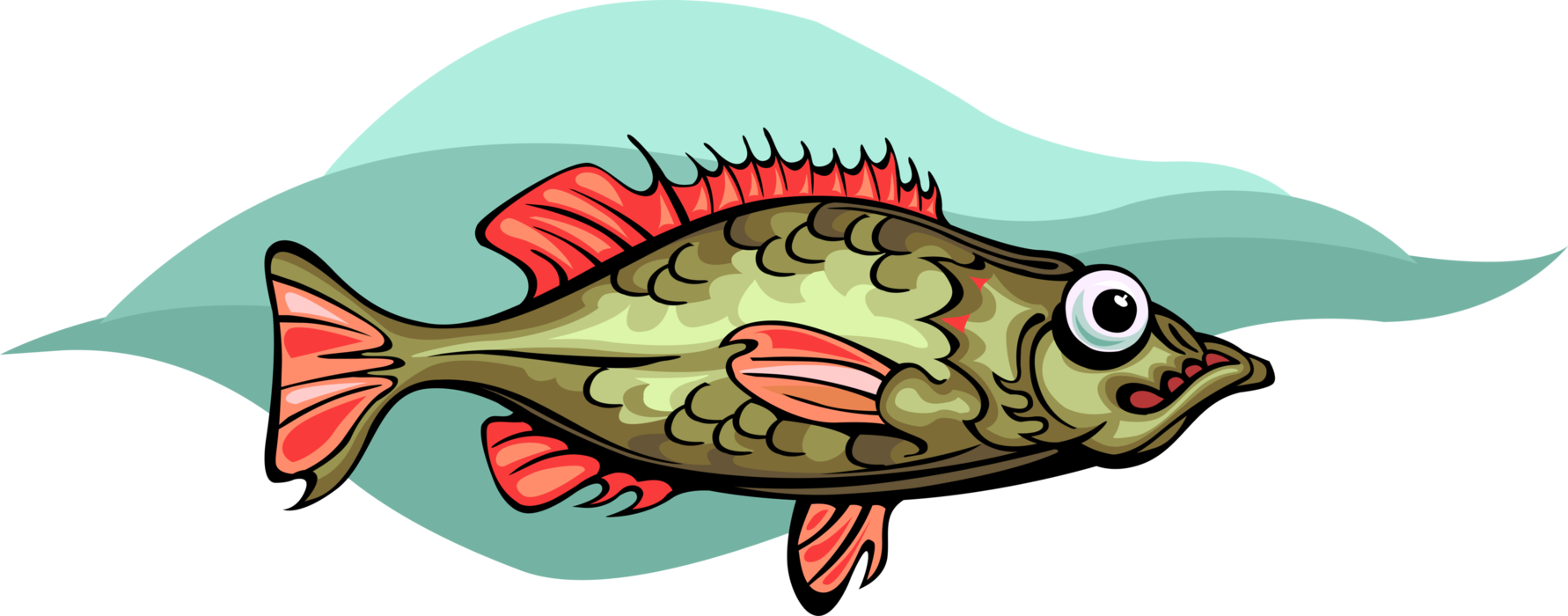 Vector Illustration of Vermillion Rockfish Marine Fish