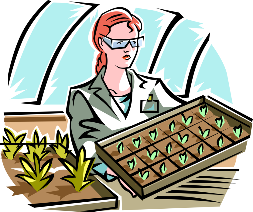 Vector Illustration of Greenhouse Nursery Where Plants are Propagated and Grown with Potted Plants and Germinated Seedlings