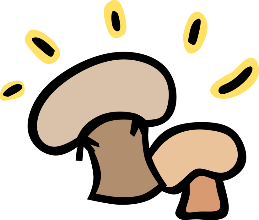Vector Illustration of Edible Mushrooms or Toadstool Fleshy Spore-Bearing Fungus Food