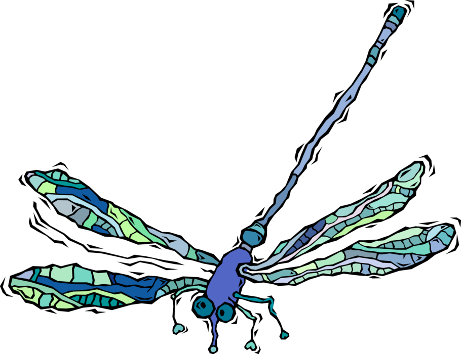 Vector Illustration of Colorful Dragonfly Flying Bug Insect
