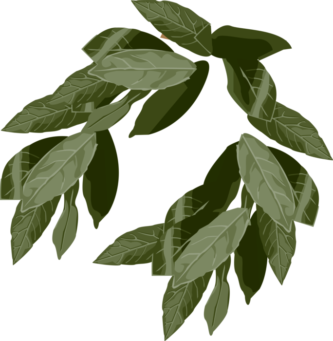 Vector Illustration of Ancient Greek and Roman Laurel Wreath with Interlocking Branches Symbol of Martial Victory