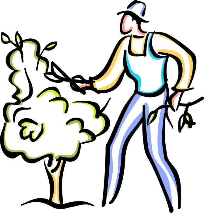 Vector Illustration of Gardener Prunes Bush Tree Shrub with Pruning Shears in Garden