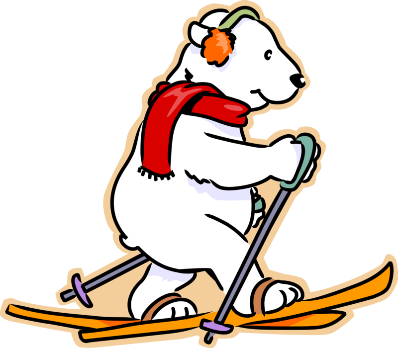 Vector Illustration of Polar Bear on Cross-Country Skis Skiing