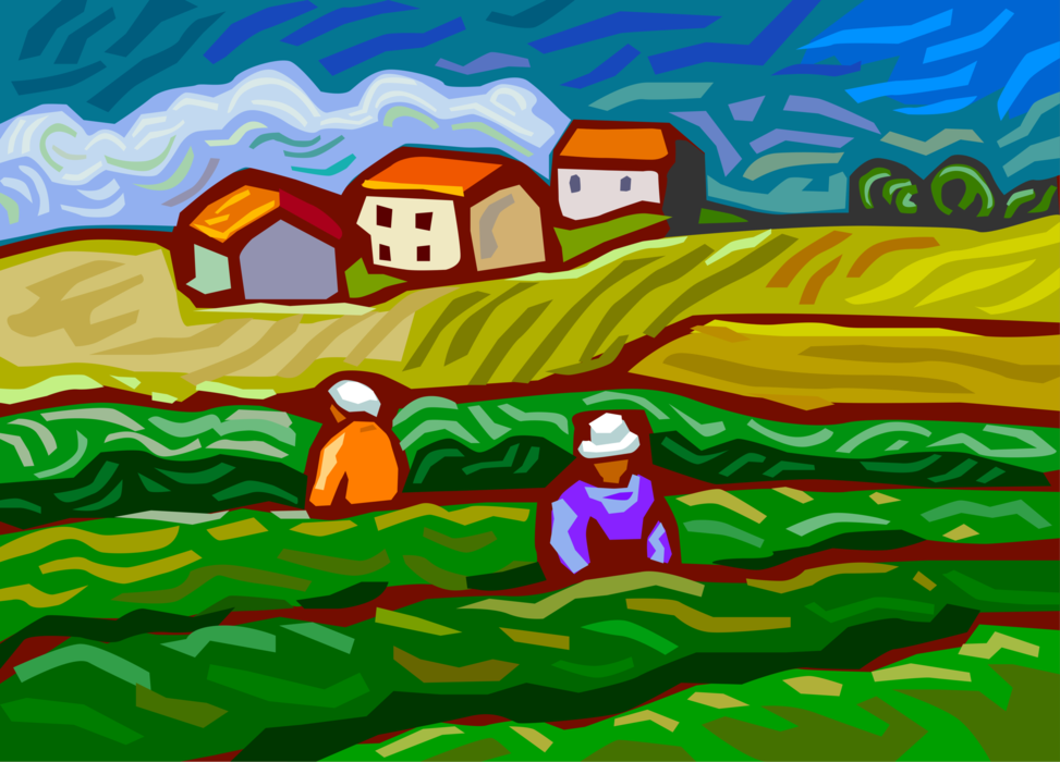 Vector Illustration of Farm Workers Prune and Cultivate Crops Growing in Fields